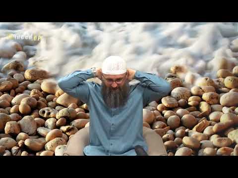 Potiranje glave prilikom abdesta žene - Elvedin Pezić