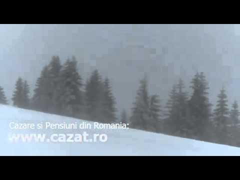 Cazare Balta, Dolj - Cazat.ro