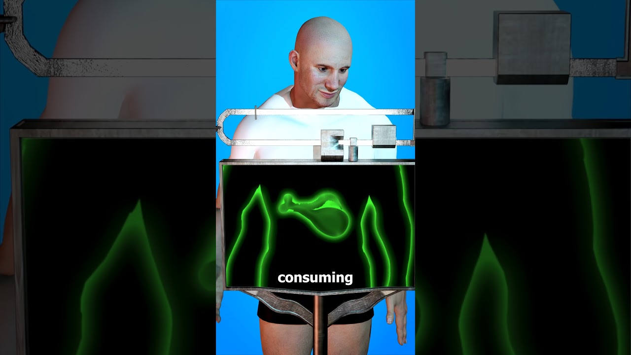 How The Tapeworm Diet Works 😳