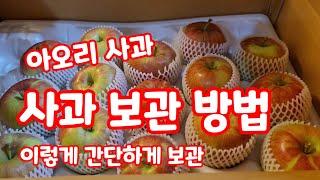 사과 보관방법 아오리사과 아주 간단하게