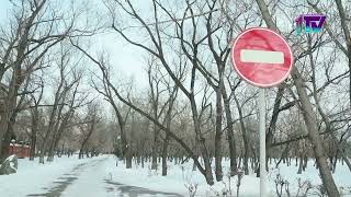 Видео