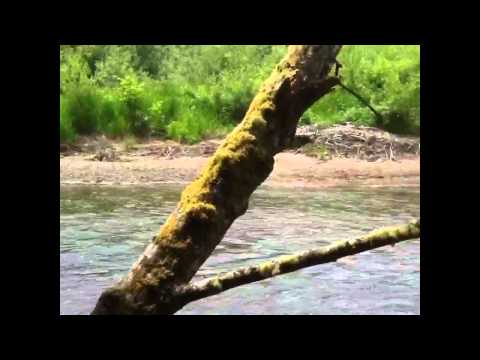 Bicycle adventure video with Dustin and Zach