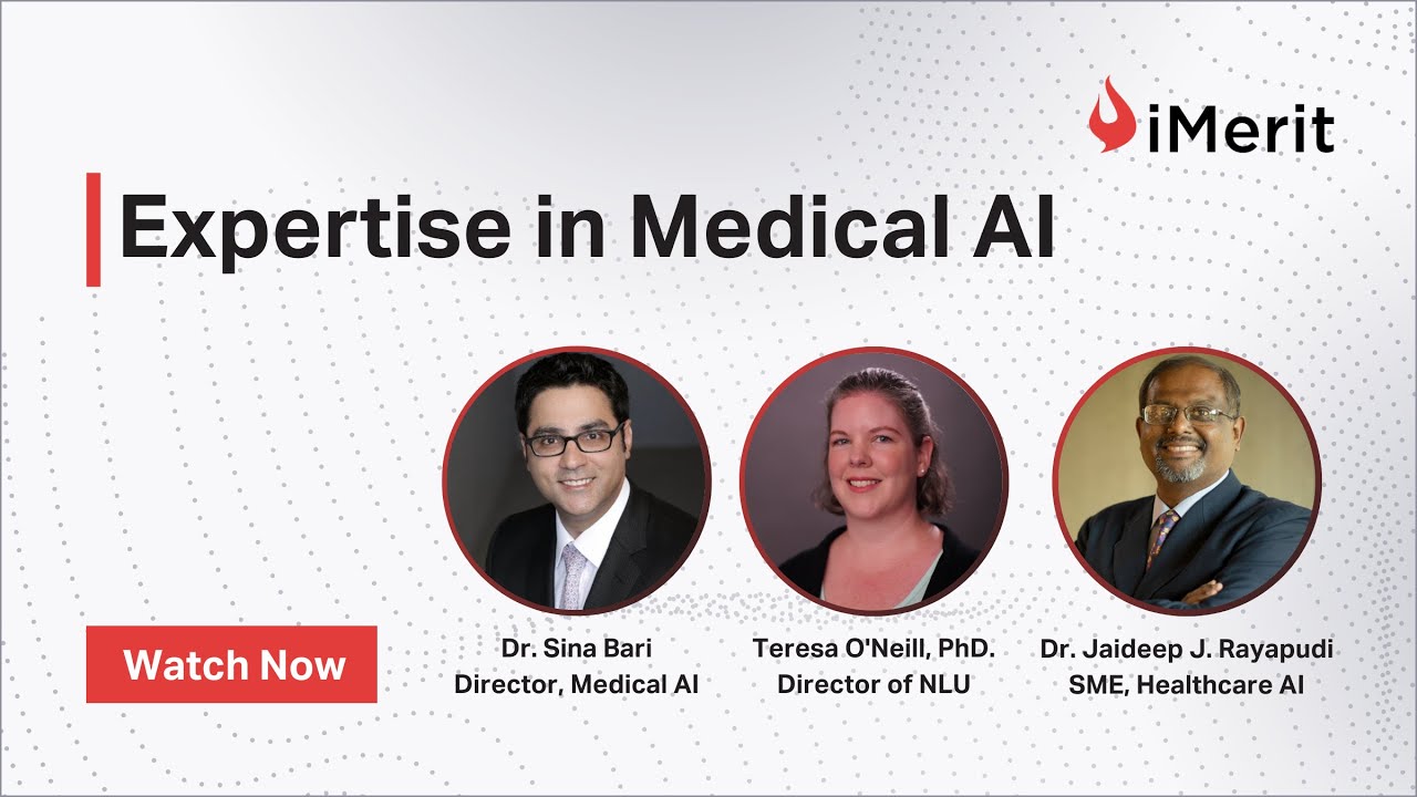 iMerit's Expertise in Medical AI Data Annotation Solutions