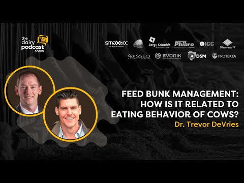 Dr. Trevor DeVries: Feed Bunk Management | Ep. 27 - YouTube