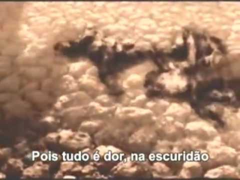 Futura Escuridão video