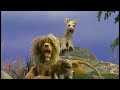 Brinque Comigo Sésamo Play With Me Sesame We Are All Earthlings Brazilian Portuguese