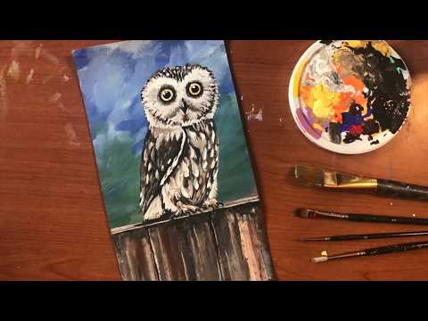 Simple Acrylic Owl Painting