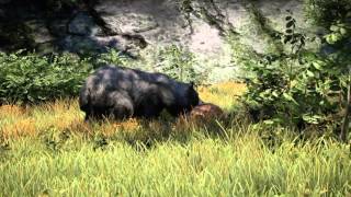 Far Cry® 4 　クマVSトラ　世紀の戦いか！？
