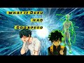 What If Deku Had Godspeed