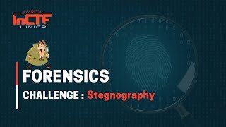 Watch Introduction to Stegnoraphy on YouTube 