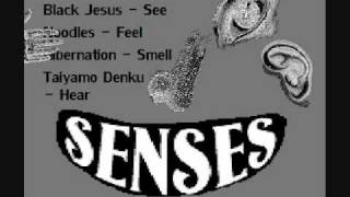 Point Game, Black Jesus, Noodles, Hibernation, Taiyamo Denku - Senses