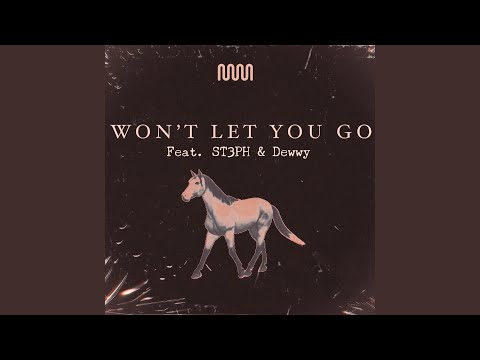 Won't Let You Go (feat. St3ph & Dewwy)