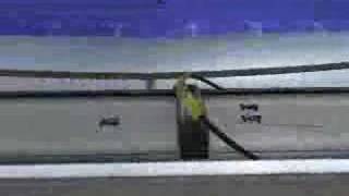 Elevated Tech Madness