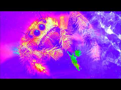 General Mumble - Spider Roll (Spott's "Blood, Blood, Blood and Death" RMX)