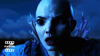 Dren Evolves