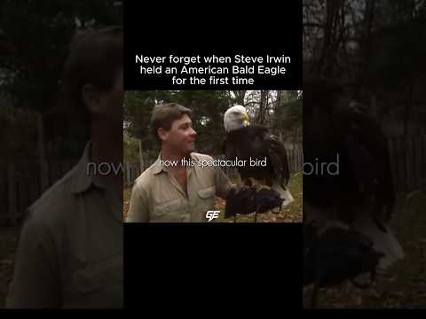 Even The Eagle Knew He Was Safe ❤️