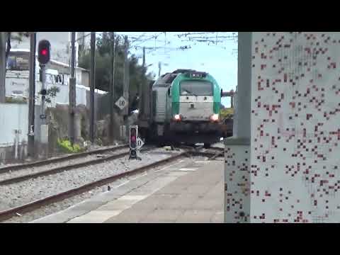 Takargo 335-021 com comboio especial Nº98204