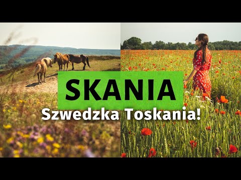 Skania. Czyli... Nie spodziewaliśmy się, że TAK może wyglądać SZWECJA 🌹