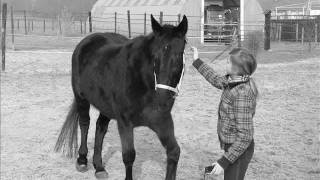 [Britta] You're Love Is All That i Need ♥