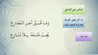 شرح نظم الآجرومية مع التشجير //53//الشيخ محمد محمود الشنقيطي image