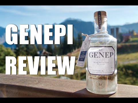 MT GENEP READY TO MAKE GENEPI REVIEW