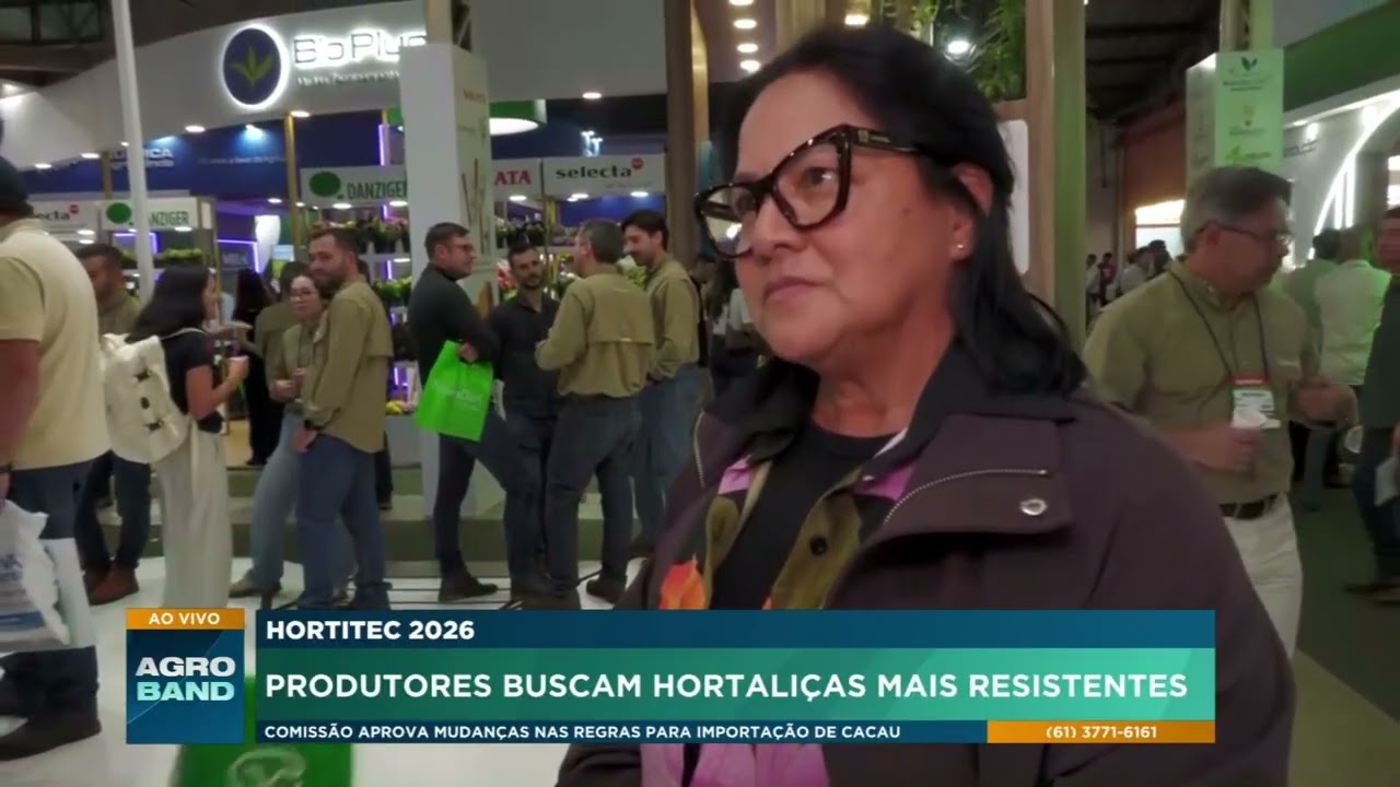 Novas tecnologias e genética impulsionam produção de hortaliças no Brasil