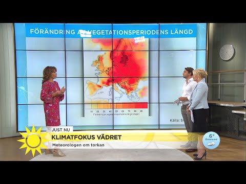 Så påverkar klimatet växtligheten: ”Det kommer att bli osäkra tider framöver” - Nyhetsmorgon (TV4)