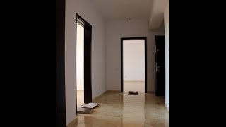 Complex Latin 0747.77.33.99 www.complexlatin.ro