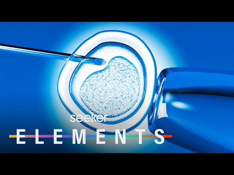 為什麼科學家們可能會放棄對人類胚胎研究的14天限制？ (Why Scientists Might Drop the 14-Day Limit on Human Embryo Research)