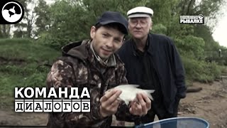 Ссылка