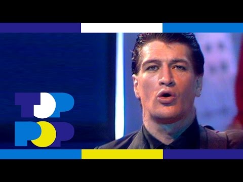 Herman Brood & His Wild Romance - Lady Killer • TopPop