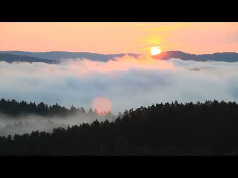 SDM - Stare Dobre Małżeństwo - Jak (Cudne Manowce)