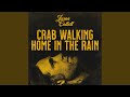 Crab Walking Home In The Rain
