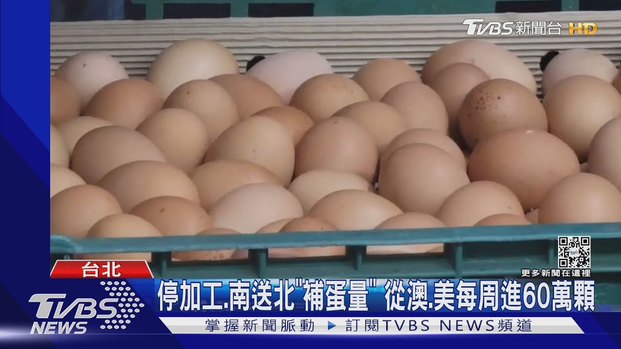 6點排隊!雞蛋半小時賣完 蛋行歉:1顆都沒有