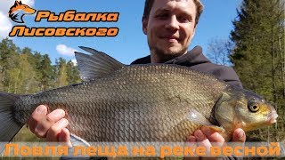 Ловля фидером весной на малых реках