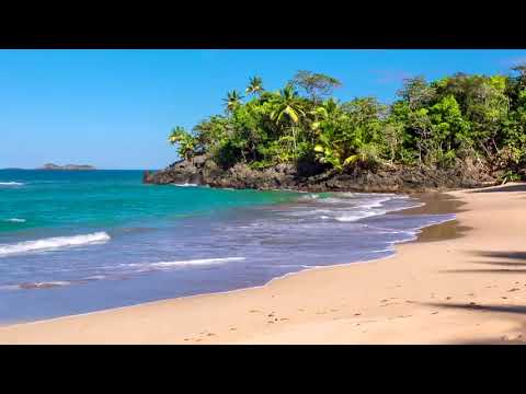 4 Olas del Paraíso   Playa Hermosa con Sonidos Relajantes del Mar sin Música