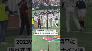 2023WBCで大谷翔平に憧れすぎている韓国ナイン達 #shoheiohtani #大谷翔平