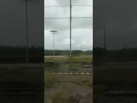 Reg. 5583, Napoli C.le - Cosenza, da Battipaglia a Capaccio-Roccadaspide.