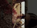 Sara Sara Saara Kaathu WhatsApp Status Vaagai Soodava WhatsApp Status