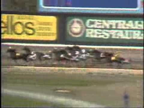 Elitloppet 1981 -Jorky