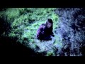 We Barbarians - "Chambray" Official Video ...