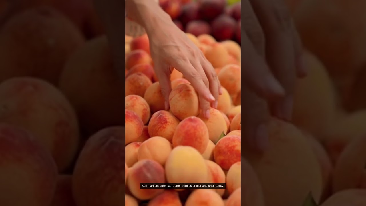 Top Stock Buying Opportunities in 2024 (Data-Driven Insights)