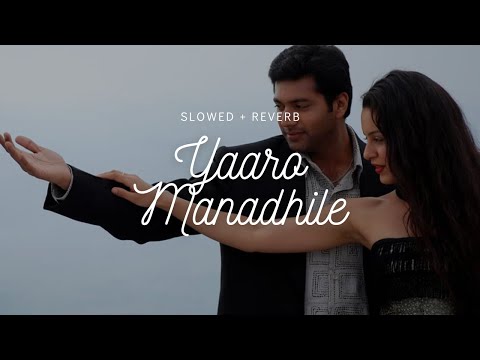 Yaaro Manadhile - (Slowed + Reverb) | Dhaam Dhoom | Jayam Ravi | Harris Jayaraj | Tamil Lofi