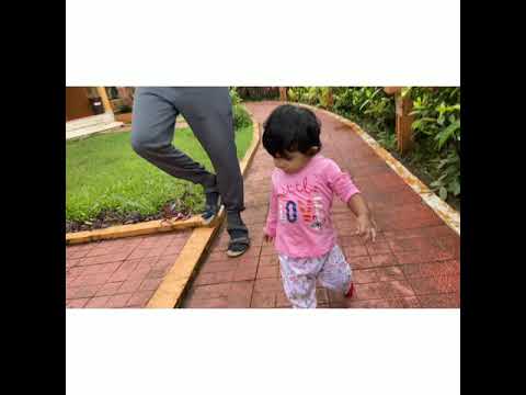 Nirvi's first encounter with cats!