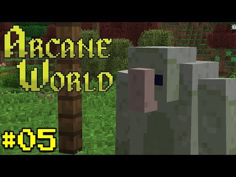 Insane Realm Transfer & Dungeon Crawling!