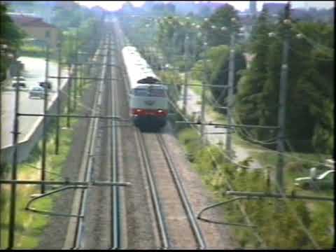 E444 Tartarughe in Romagna  08