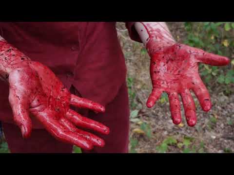 Maschine 9 (2018) {Musik-Video}