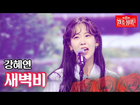 강혜연 - 새벽비｜불타는 장미단 63회