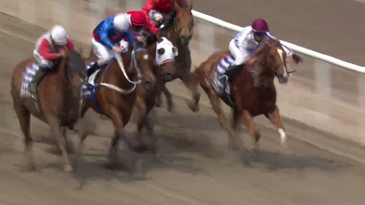 Jägersro Sprint (L) 2023