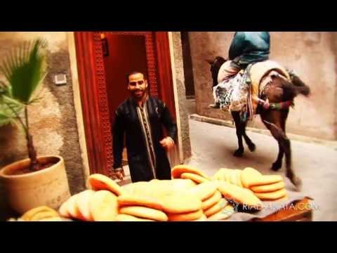 Riad ANATA